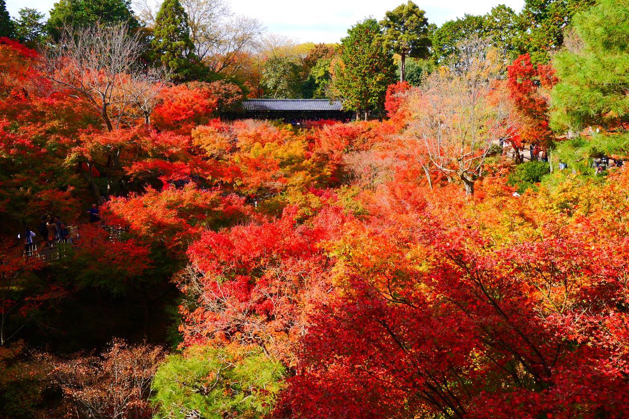 Japaning Hotel Libre Tofukuji Kyōto Exterior foto